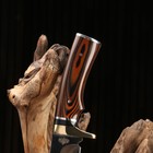 Нож охотничий "Казбек" - Фото 8
