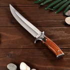 Нож охотничий "Сармат" сталь - 50х14, рукоять - дерево, 31 см - Фото 2