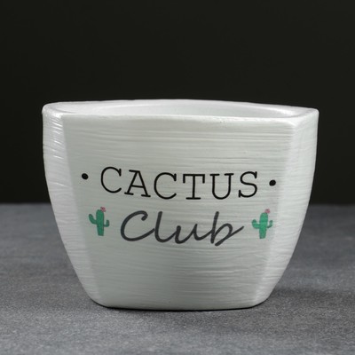 Кашпо для цветов «Кактус», 500 мл, d=12 см, h=8.5 см, керамическое, серое