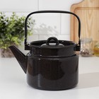 Чайник эмалированный, 2 л, без деколи, цвет МИКС - Фото 1