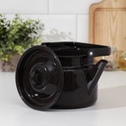 Чайник эмалированный, 2 л, без деколи, цвет МИКС - Фото 2