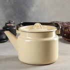 Чайник эмалированный, 2 л, без деколи, цвет МИКС - Фото 6