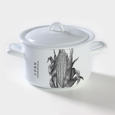 Кастрюля эмалированная, 2.9 л, d=19.5 см, цилиндрическая, рисунок МИКС