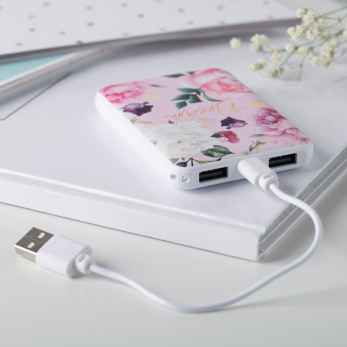 Портативный аккумулятор «Dream» 5000 mAh, 2 USB-разъёма - фото 51450402