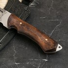 Нож кавказский, туристический "Беркут" с ножнами, сталь - 40х13, рукоять - орех, 14.5 см - Фото 3