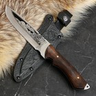 Нож кавказский, туристический "Беркут" с ножнами, сталь - 40х13, рукоять - орех, 14.5 см - Фото 6