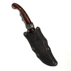 Нож кавказский, туристический "Печенег" с ножнами, сталь - 40х13, лакированный орех, 14 см - фото 25443664