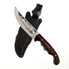 Нож кавказский, туристический "Печенег" с ножнами, сталь - 40х13, лакированный орех, 14 см - фото 25443660