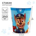 Стакан одноразовый бумажный «С Днем Рождения!», 250 мл, Щенячий патруль - Фото 1