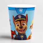 Стакан одноразовый бумажный «С Днем Рождения!», 250 мл, Щенячий патруль - Фото 3