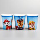 Стакан одноразовый бумажный «С Днем Рождения!», 250 мл, Щенячий патруль - Фото 4