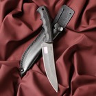 Нож кавказский, разделочный «Арал» с чехлом, сталь - AUS-8, рукоять - эластрон, 14.5 см - фото 321273674
