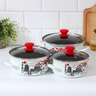 Набор эмалированных кастрюль «Ветка сакуры», 3 предмета: 1.5 л, 2 л, 3 л, индукция - Фото 1