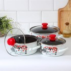 Набор эмалированных кастрюль «Ветка сакуры», 3 предмета: 1.5 л, 2 л, 3 л, индукция - Фото 2