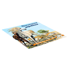 «Познаём мир вокруг нас. Приключения жеребёнка», 16 стр. - фото 24585472