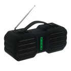 Портативная колонка Perfeo STAND, FM, MP3, microSD, USB, AUX, 10 Вт, 2400 мАч, черная - фото 51319036