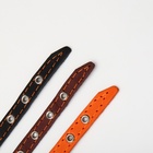 Ошейник кожаный однослойный с рифлеными люверсами, 35×1.2 см, ОШ 10-28 см, безразмерный, микс цветов - Фото 10