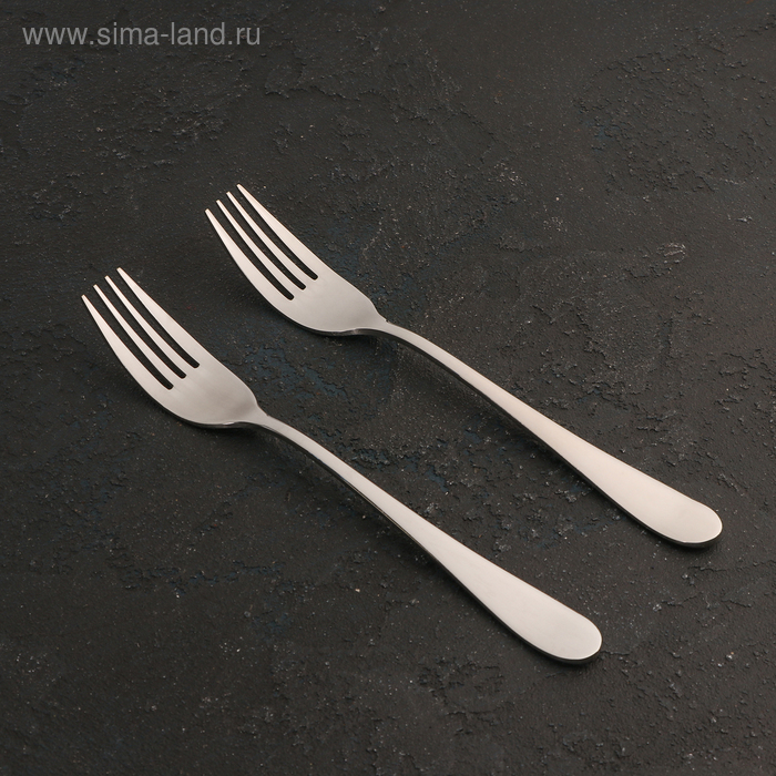 Набор вилок столовых из нержавеющей стали Wilmax Stella, h=20 см, 2 шт, цвет серебряный - Фото 1