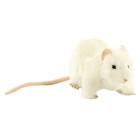 Крыса белая, 19 см - Фото 1