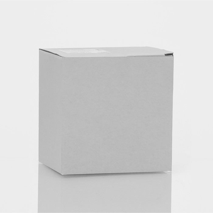 Кружка с двойными стенками «Панда», 300 мл, стекло, прозрачная - фото 113151590