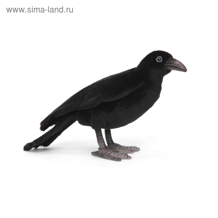 Чёрный ворон, 31 см