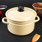 Кастрюля эмалированная, 5 л, d=24 см, цилиндрическая, цвет слоновая кость - Фото 1