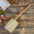 Мочалка банная с деревянной ручкой, люффа - Фото 1