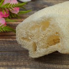 Мочалка банная с деревянной ручкой, люффа - Фото 2