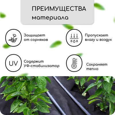 Материал мульчирующий, с перфорацией, 10 × 0,8 м, плотность 80 г/м², спанбонд с УФ-стабилизатором, чёрный, Greengo, Эконом 30%