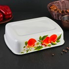 Контейнер, 2.5 л, с крышкой, эмалированная сталь, деколь МИКС, белый - Фото 4