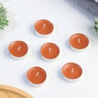 Набор свечей ароматических чайных «Капучино», в подарочной коробке, 6 шт. - Фото 3