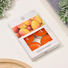 Набор свечей ароматических чайных «Сочное манго», в подарочной коробке, 6 шт. - Фото 5