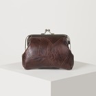 Кошелёк женский, отдел на фермуаре, цвет коричневый - Фото 2