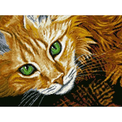 Набор алмазной мозаики Паутинка «Рыжий кот»