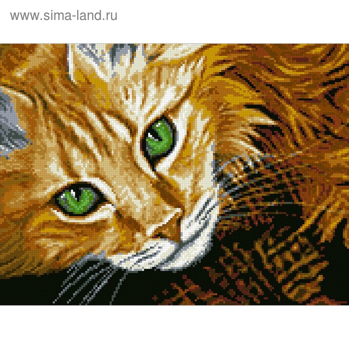 Набор алмазной мозаики Паутинка «Рыжий кот» - Фото 1