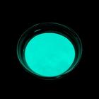 Пигмент (пудра) LUXART Pigment, 35 г, светящийся, сине-зелёный - Фото 4