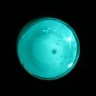Пигмент (пудра) LUXART Pigment, 35 г, светящийся, сине-зелёный - Фото 6