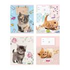 Тетрадь 12 листов в косую линейку Cat story, обложка мелованный картон, МИКС - Фото 1