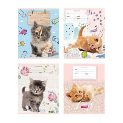 Тетрадь 12 листов в косую линейку Cat story, обложка мелованный картон, МИКС