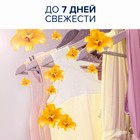 Кондиционер для белья Lenor Haute Couture La Prеcieuse, концентрат, 1,785 л - Фото 4