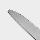 Столовые приборы «Стандарт», картонная коробка, толщина 2 мм, 36 предметов, нержавеющая сталь, серебристые - Фото 2