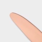 Набор столовых приборов Magistro «Оску стандарт», 4 предмета, нержавеющая сталь, цвет бронзовый - Фото 3