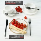 Набор столовых приборов Magistro «Оску стандарт», 4 предмета, нержавеющая сталь, чёрный - Фото 4