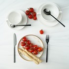 Набор столовых приборов Magistro «Оску стандарт», 4 предмета, нержавеющая сталь, чёрный - Фото 6