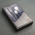 Набор столовых приборов из нержавеющей стали Magistro «Оску стандарт», 4 предмета, цвет металла серебряный, ручки чёрный мрамор - Фото 4