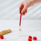 Набор столовых приборов из нержавеющей стали Magistro «Оску стандарт», 4 предмета, цвет металла серебряный, ручки красные - Фото 4