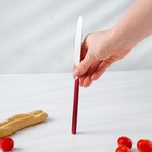 Набор столовых приборов из нержавеющей стали Magistro «Оску стандарт», 4 предмета, цвет металла серебряный, ручки красные - Фото 5