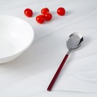 Набор столовых приборов из нержавеющей стали Magistro «Оску стандарт», 4 предмета, цвет металла серебряный, ручки красные - Фото 6