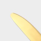 Набор столовых приборов Magistro «Оску стандарт», 12 предметов, нержавеющая сталь, золотистый - Фото 3