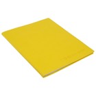 Премиум-дневник универсальный, для 1-11 класса Vivella, обложка искусственная кожа, жёлтый - Фото 2